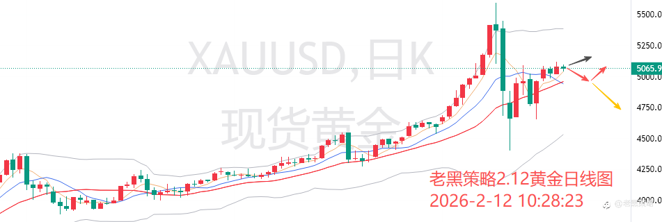 老黑策略:2.12外汇、黄金、原油分析策略