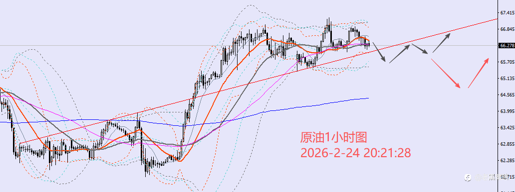 老黑策略：2.24晚盘外汇、黄金、原油分析策略