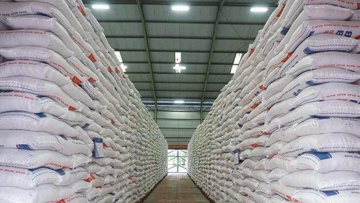 Produksi Beras RI 2025 Naik 13,29%, Capai 34,69 Juta Ton