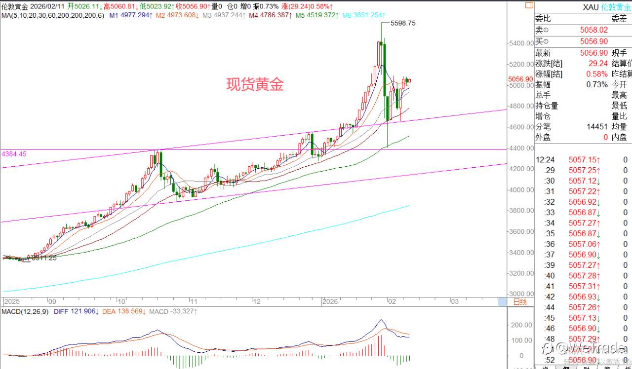 2026年2月11日|每日汇评-策略分析|王萍：原油震荡偏多运行