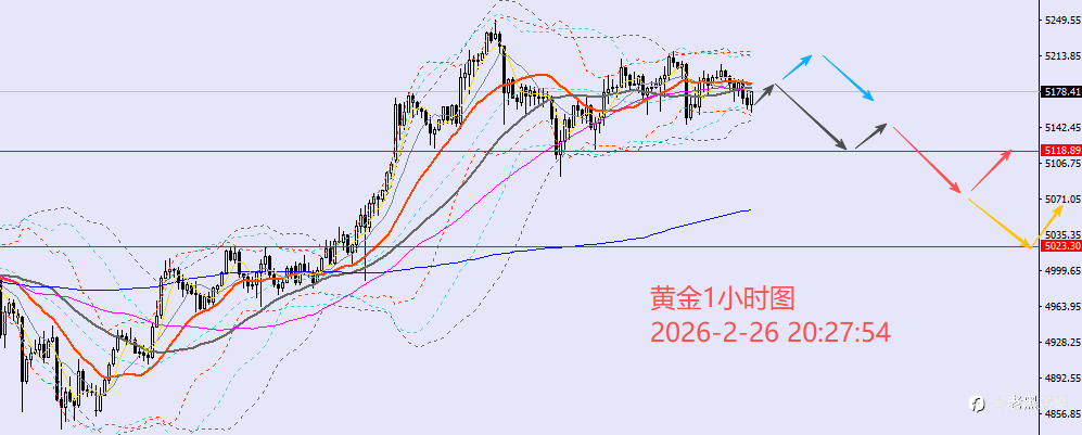 老黑策略：2.26晚盘外汇、黄金、原油分析策略