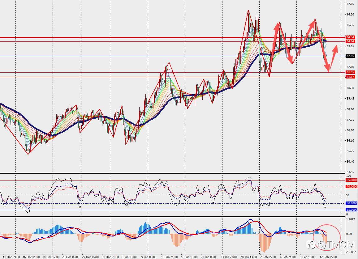 TMGM每日市场2月13日
