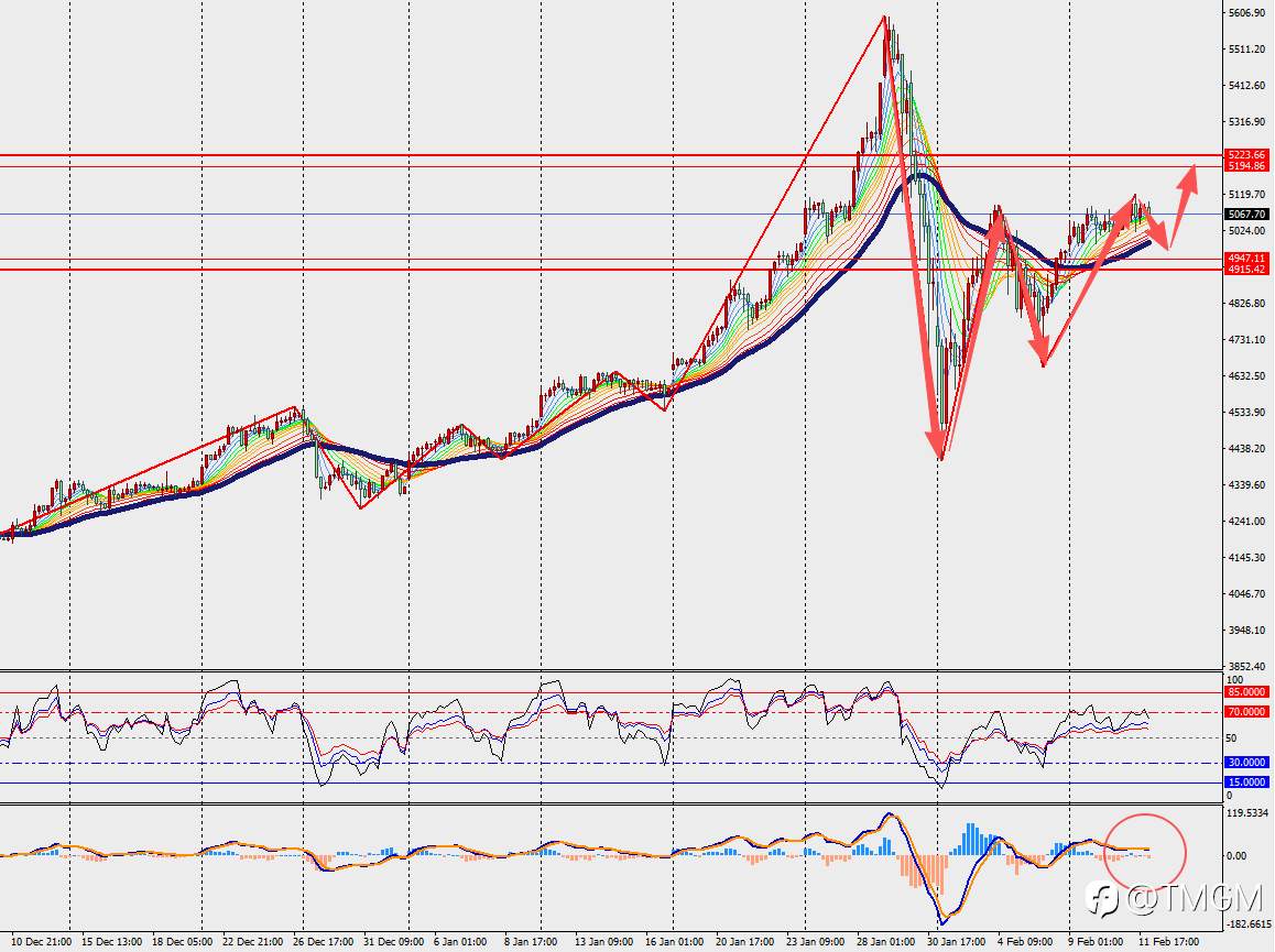 TMGM每日市场2月12日