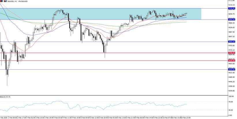 2026年2月11日市场报告