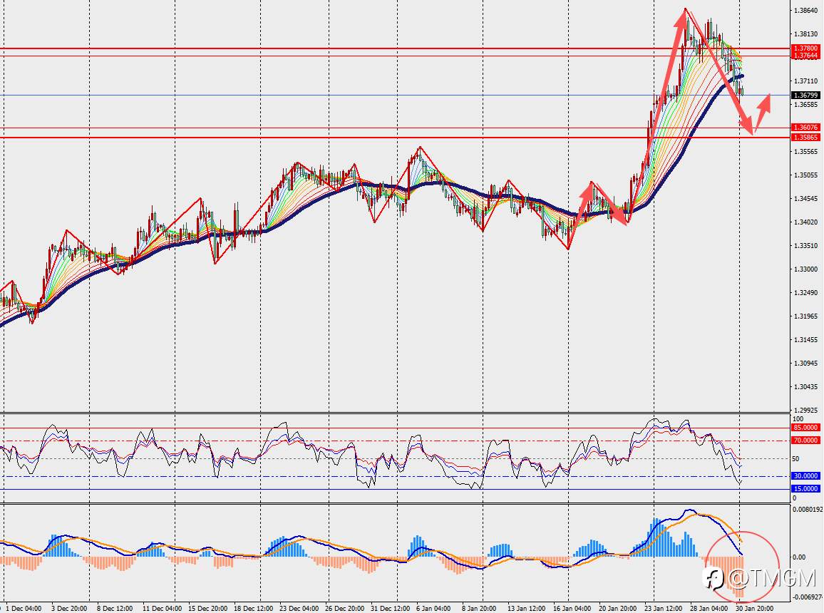 TMGM每日市场2月2日