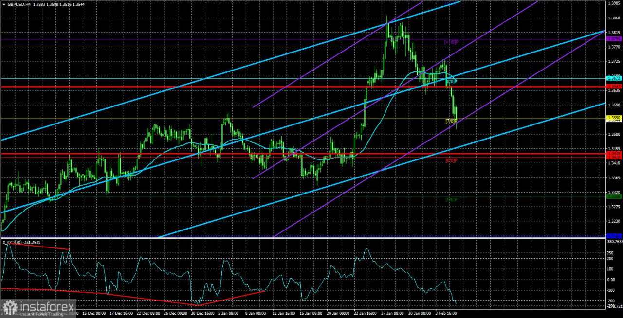 Gambaran Umum Pasangan GBP/USD. 6 Februari. Di Atas Es Tipis: Bank of England Hampir Memotong Suku Bunga