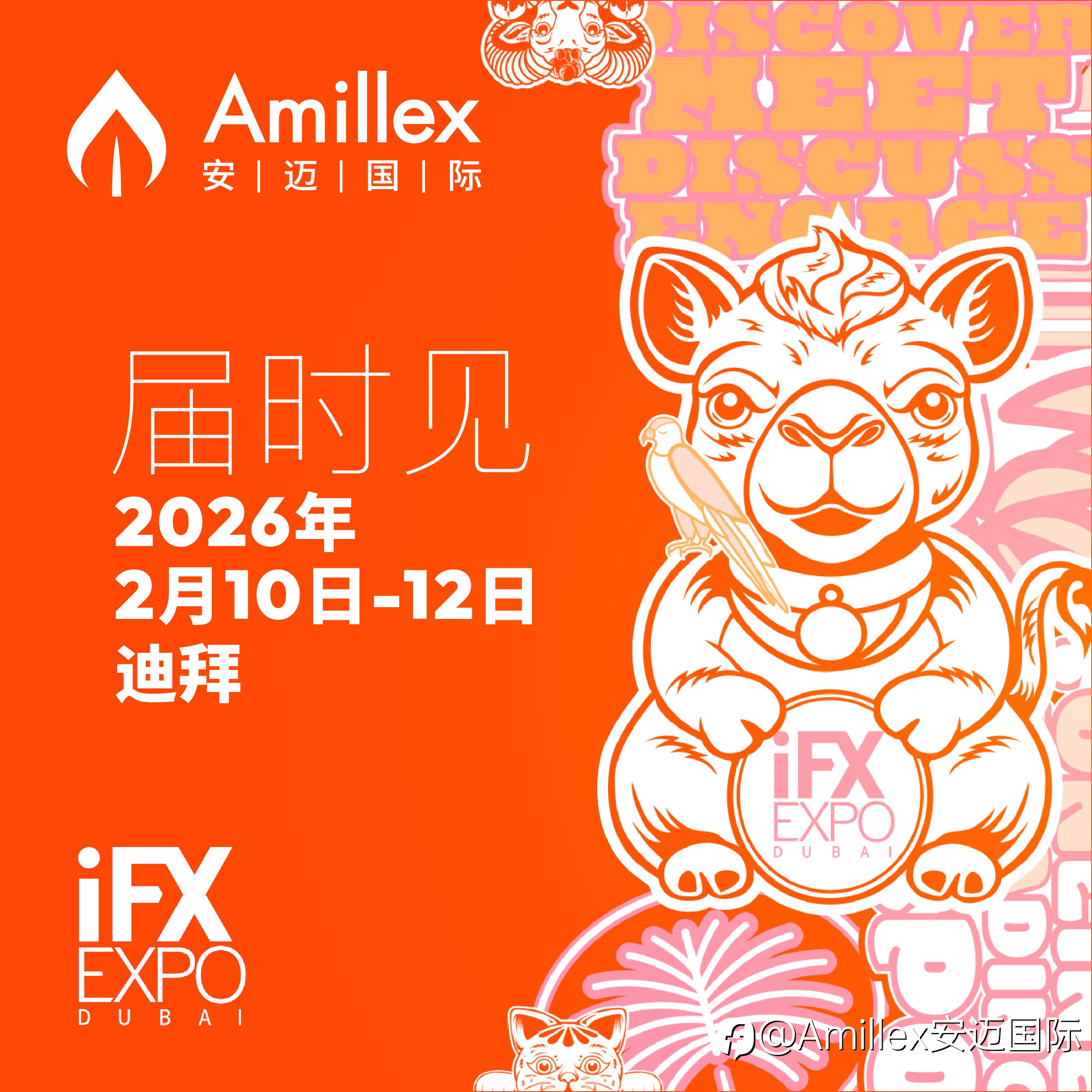Amillex Global 诚邀您相聚 2026 迪拜 iFX EXPO 展会