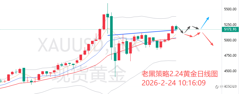 老黑策略：2.24外汇、黄金、原油分析策略