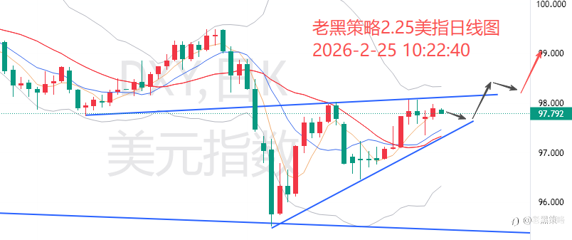 老黑策略：2.25外汇、黄金、原油分析策略