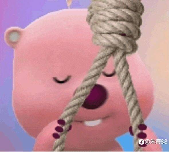 成也萧何，败也萧何