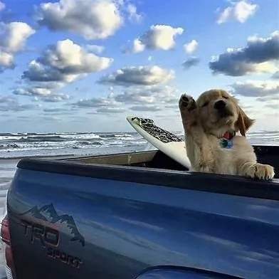 贵金属暴涨的1月，他单月盈利54万美元！