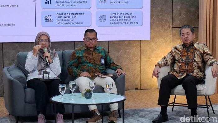 Swasta Garap 10.444 Ha Tambak Garam Raksasa di Rote Ndao