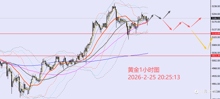 老黑策略：2.25晚盘外汇、黄金、原油分析策略