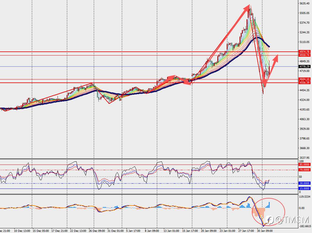 TMGM每日市场2月3日