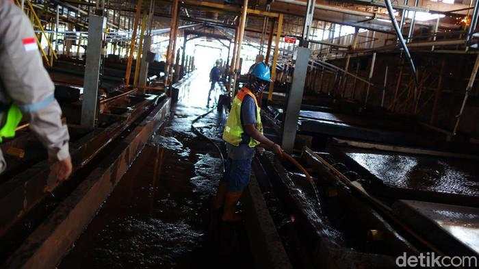 Ngggak Cuma AS, India Bakal Masuk RI Garap Harta Karun Incaran Dunia