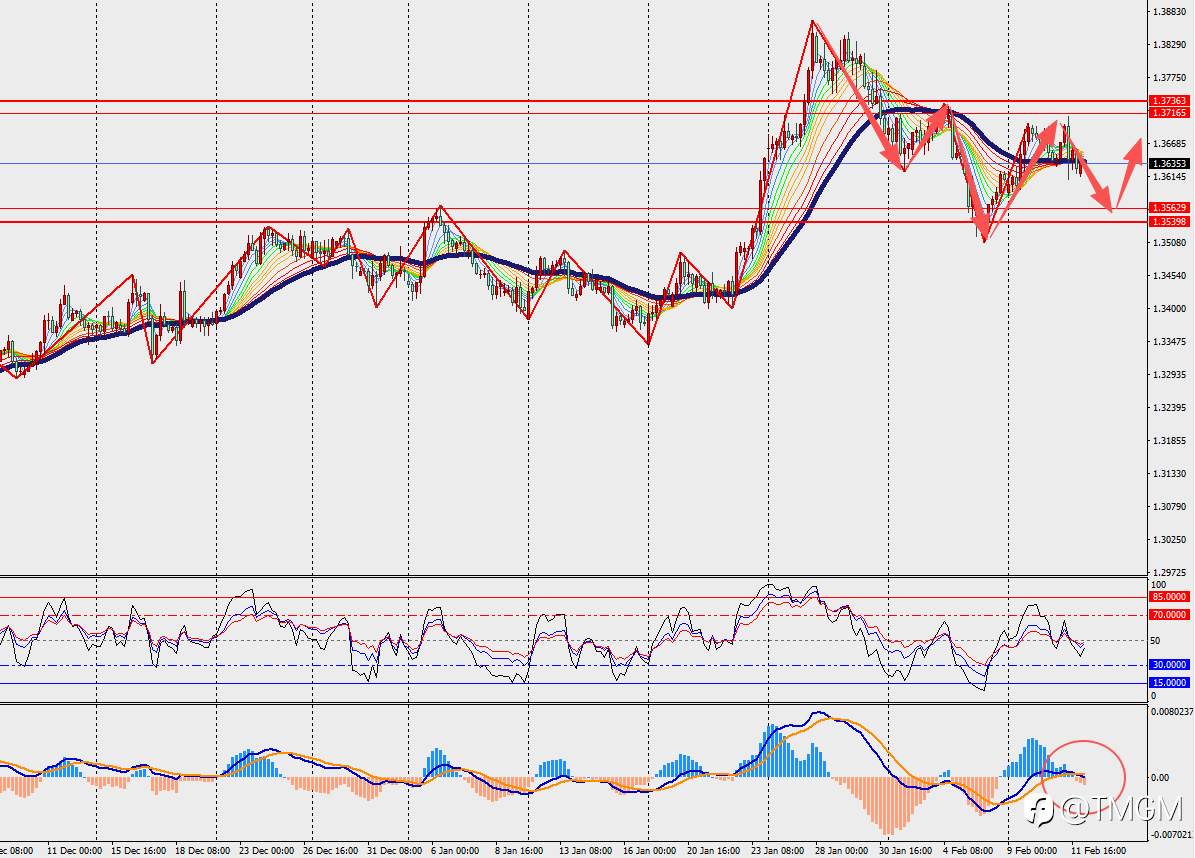 TMGM每日市场2月12日