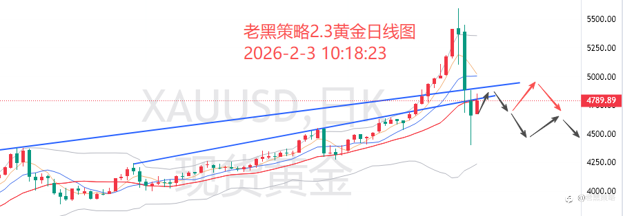 老黑策略：2.3外汇、黄金、原油分析策略