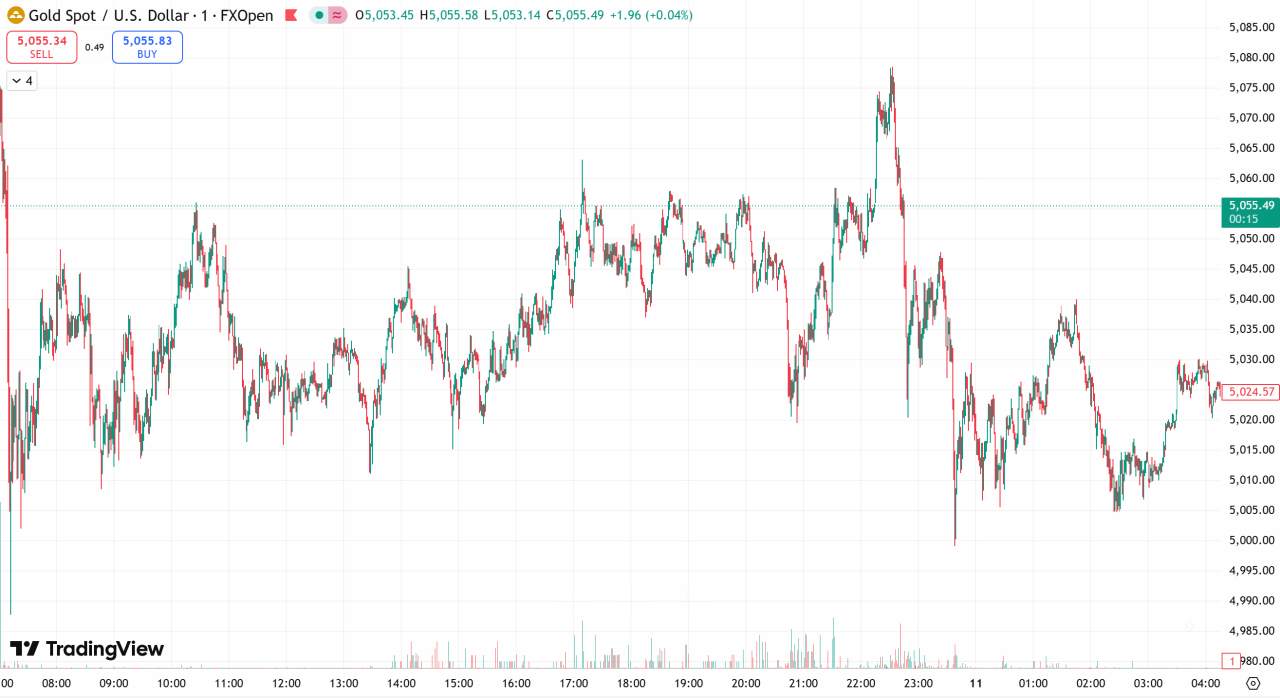 D Prime 每日汇评 | 金价持稳于5000关口，静待非农行情