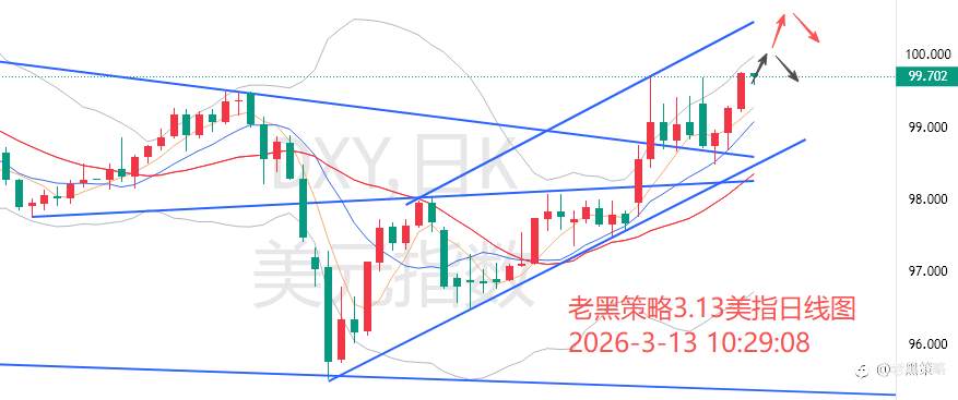 老黑策略：3.13外汇、黄金、原油分析策略