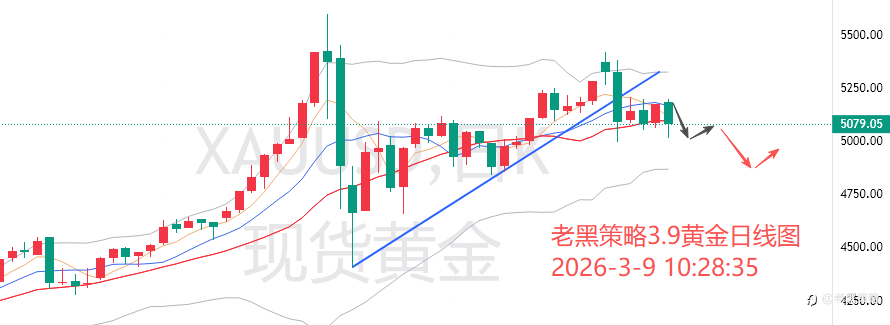 老黑策略:3.9外汇、黄金、原油分析策略