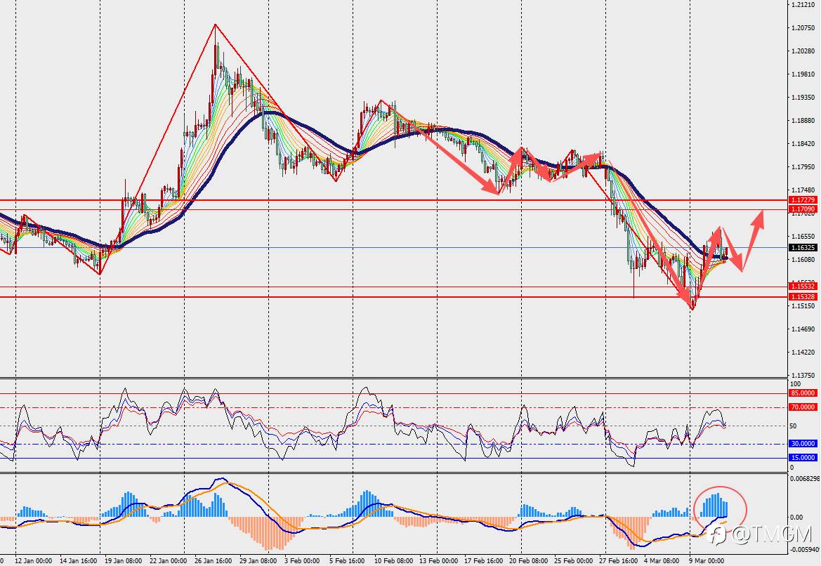 TMGM每日市场3月11日