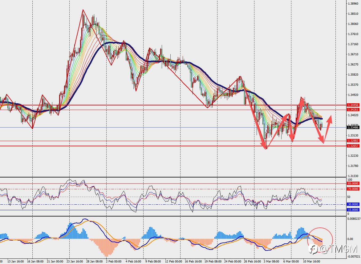 TMGM每日市场3月13日