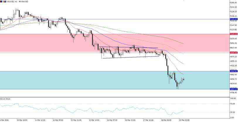 2026年3月19日市场报告