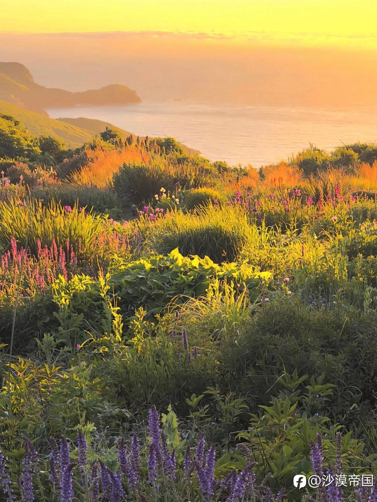 2026.3.17外汇每日交易策略