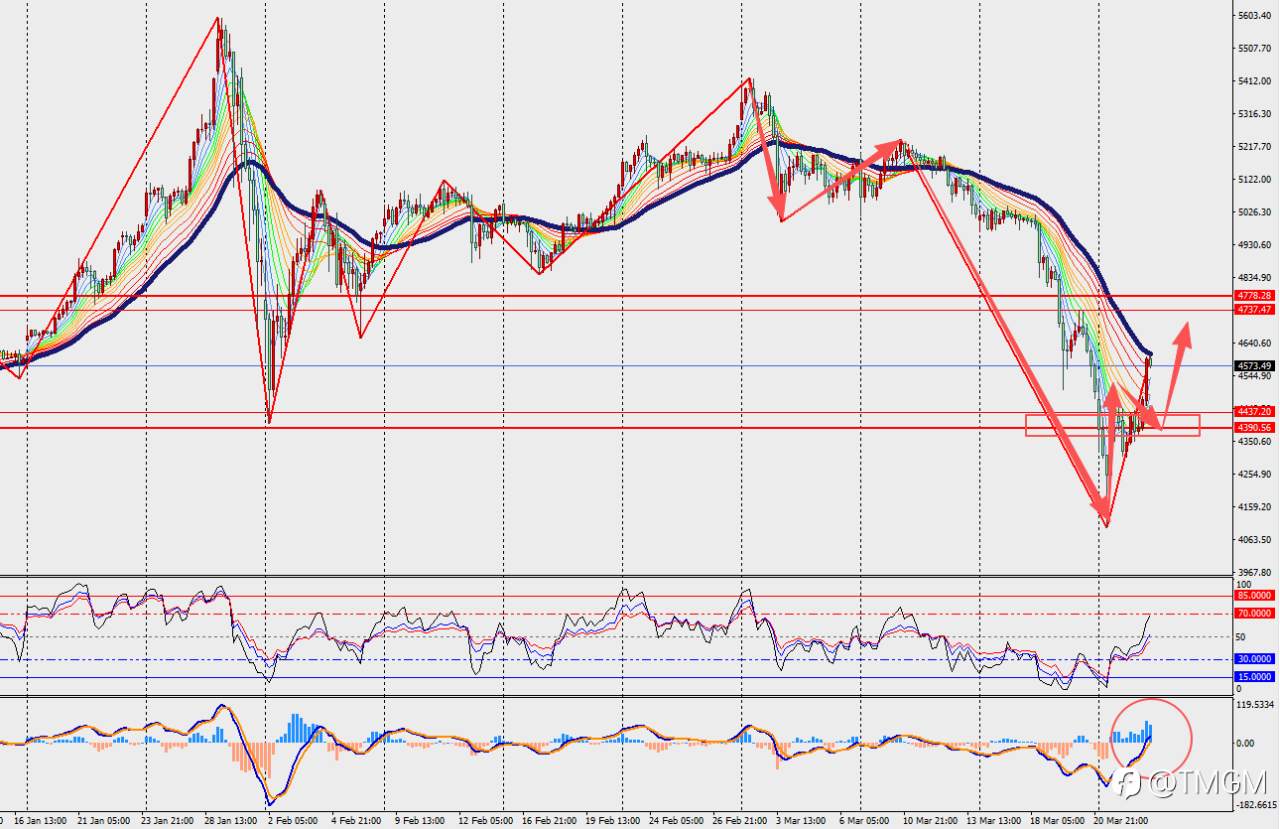 TMGM每日市场3月25日