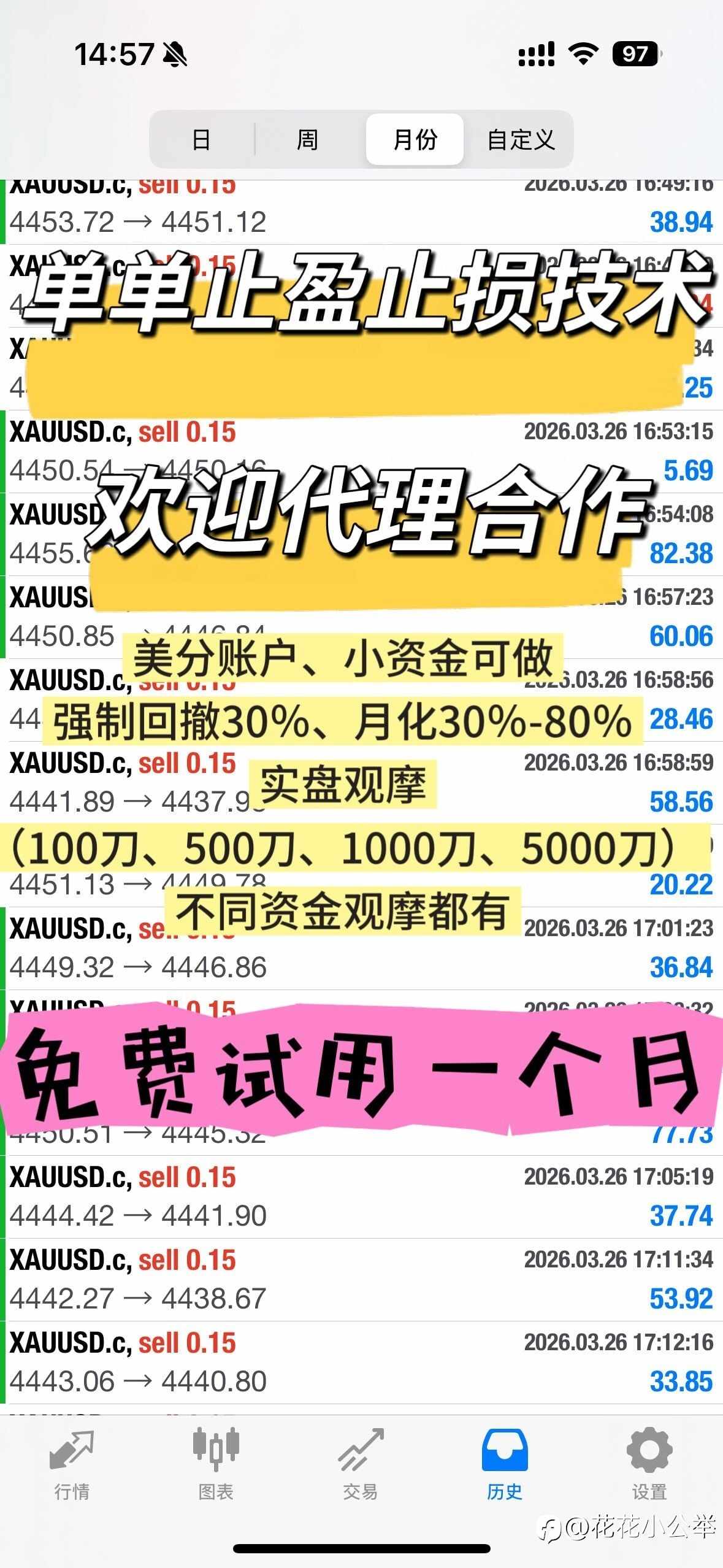 feed-image-0