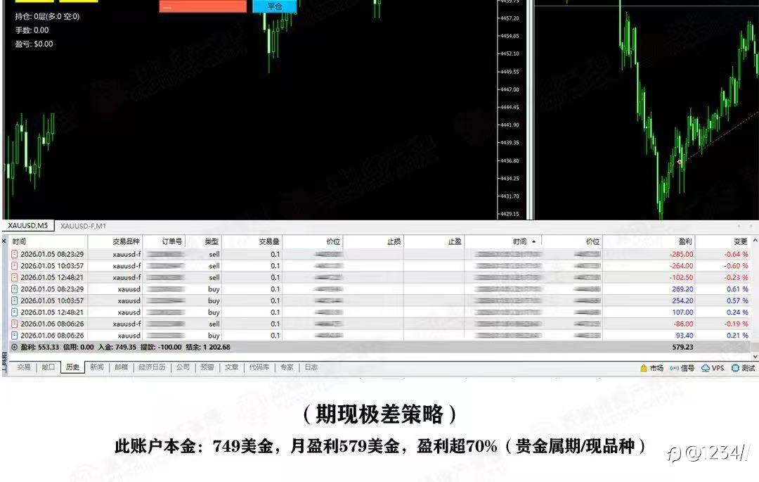 feed-image-2
