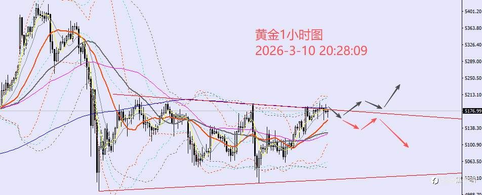老黑策略：3.10晚盘外汇、黄金、原油分析策略