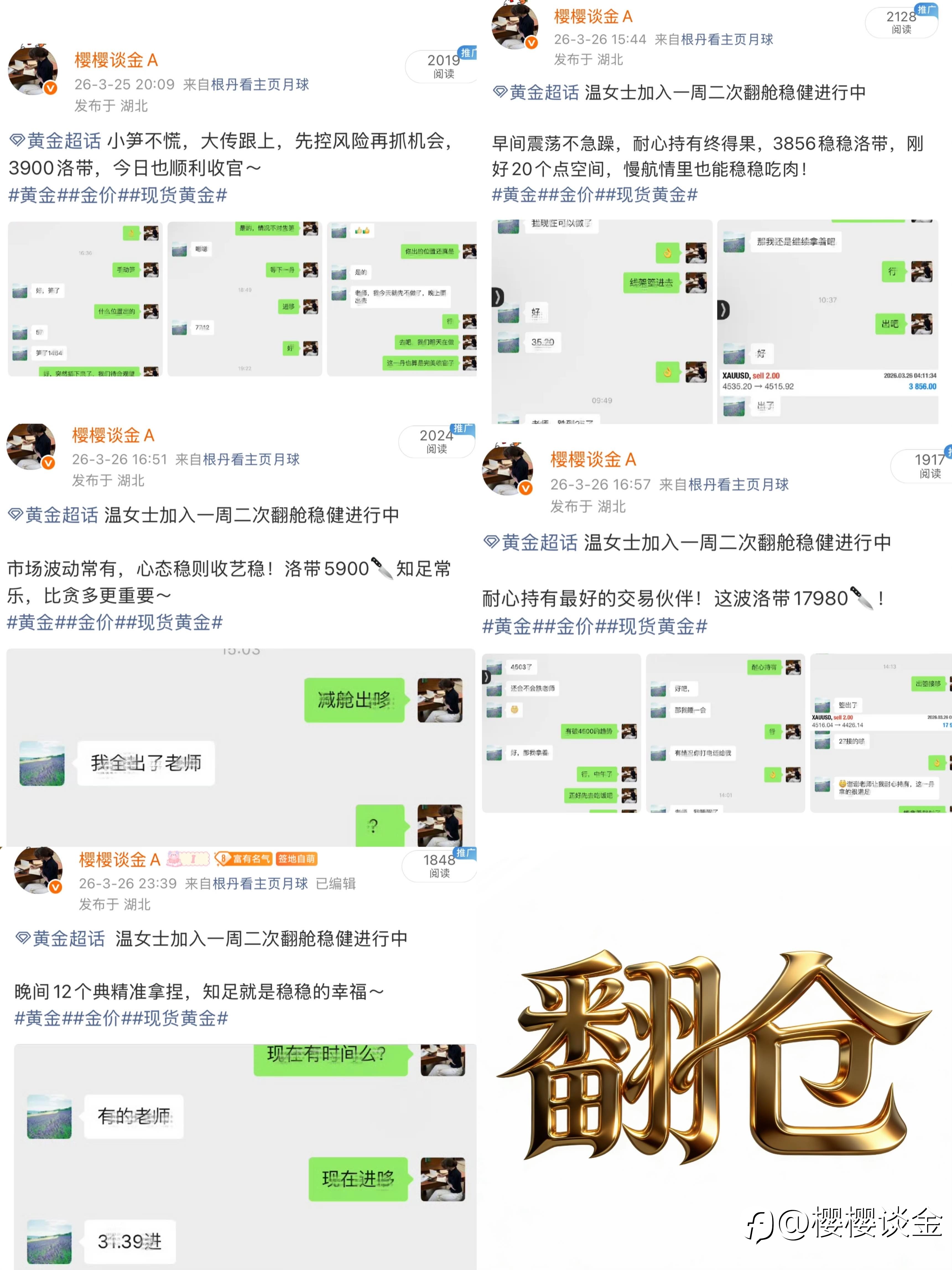 温女士翻舱周总结