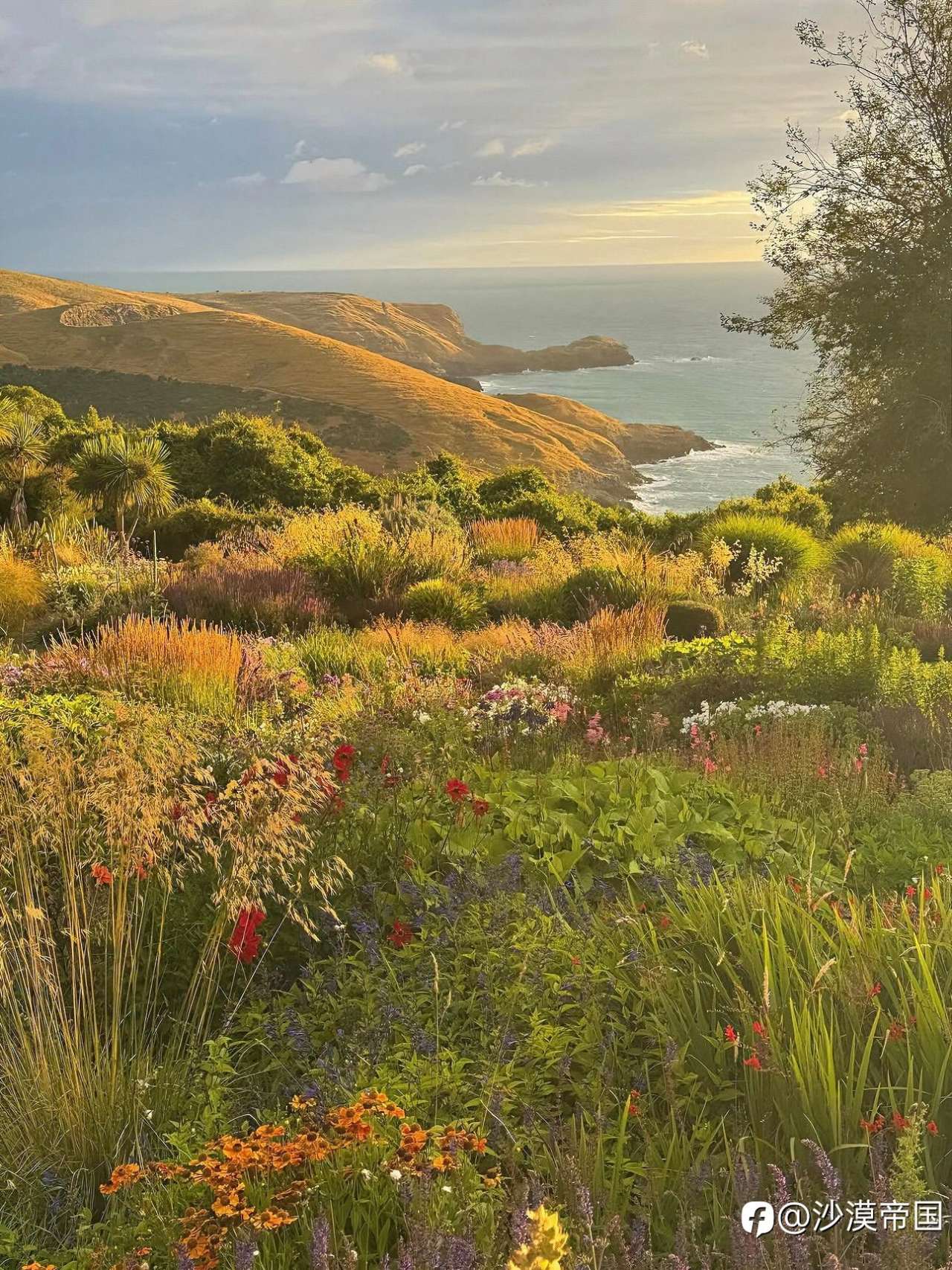 2026.3.11 外汇每日交易策略