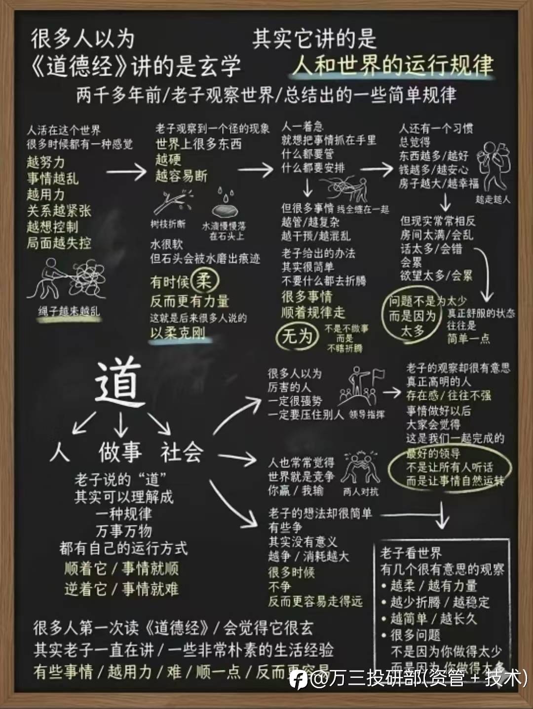 feed-image-1