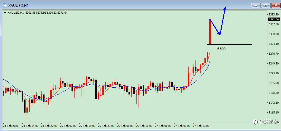 沈皓南：黄金高开，看涨就完事了
