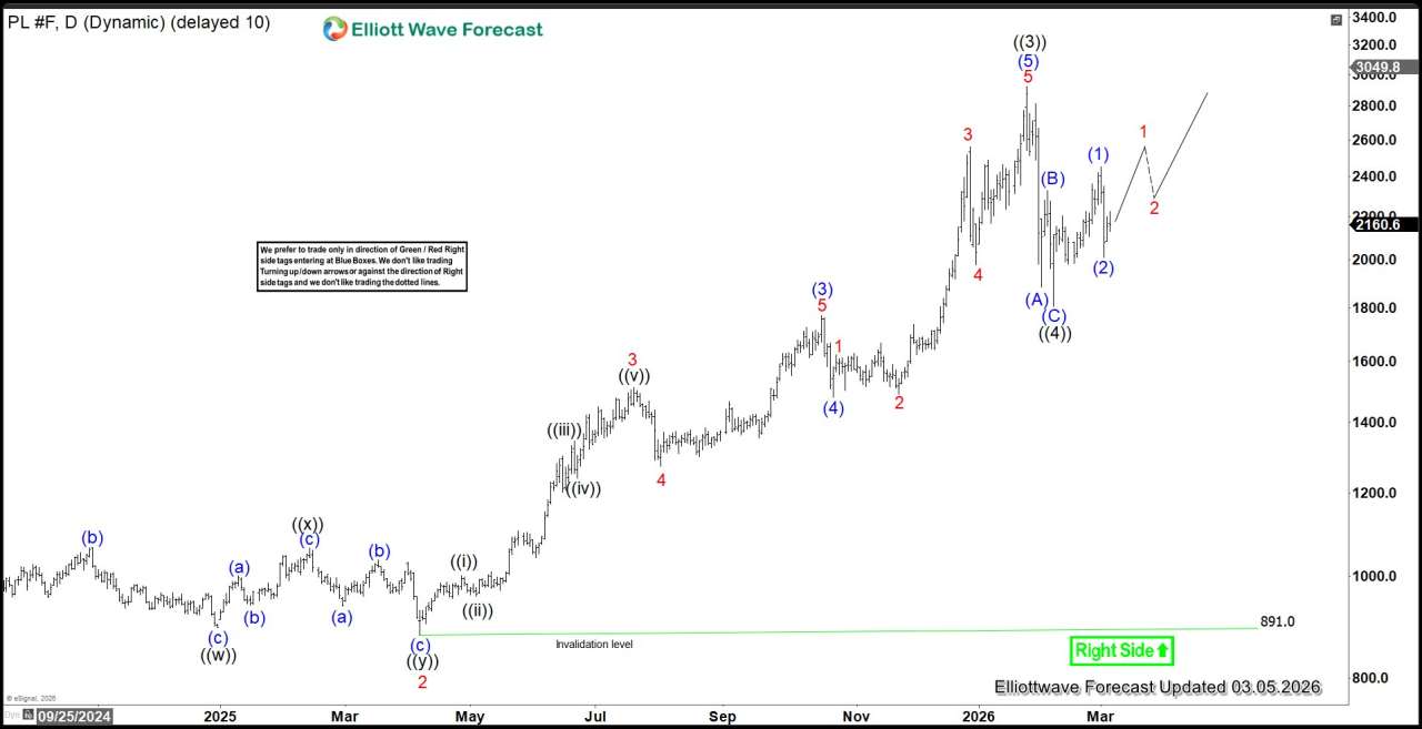 Platinum Surges to Record High: Elliott Wave Signals Ongoing Support