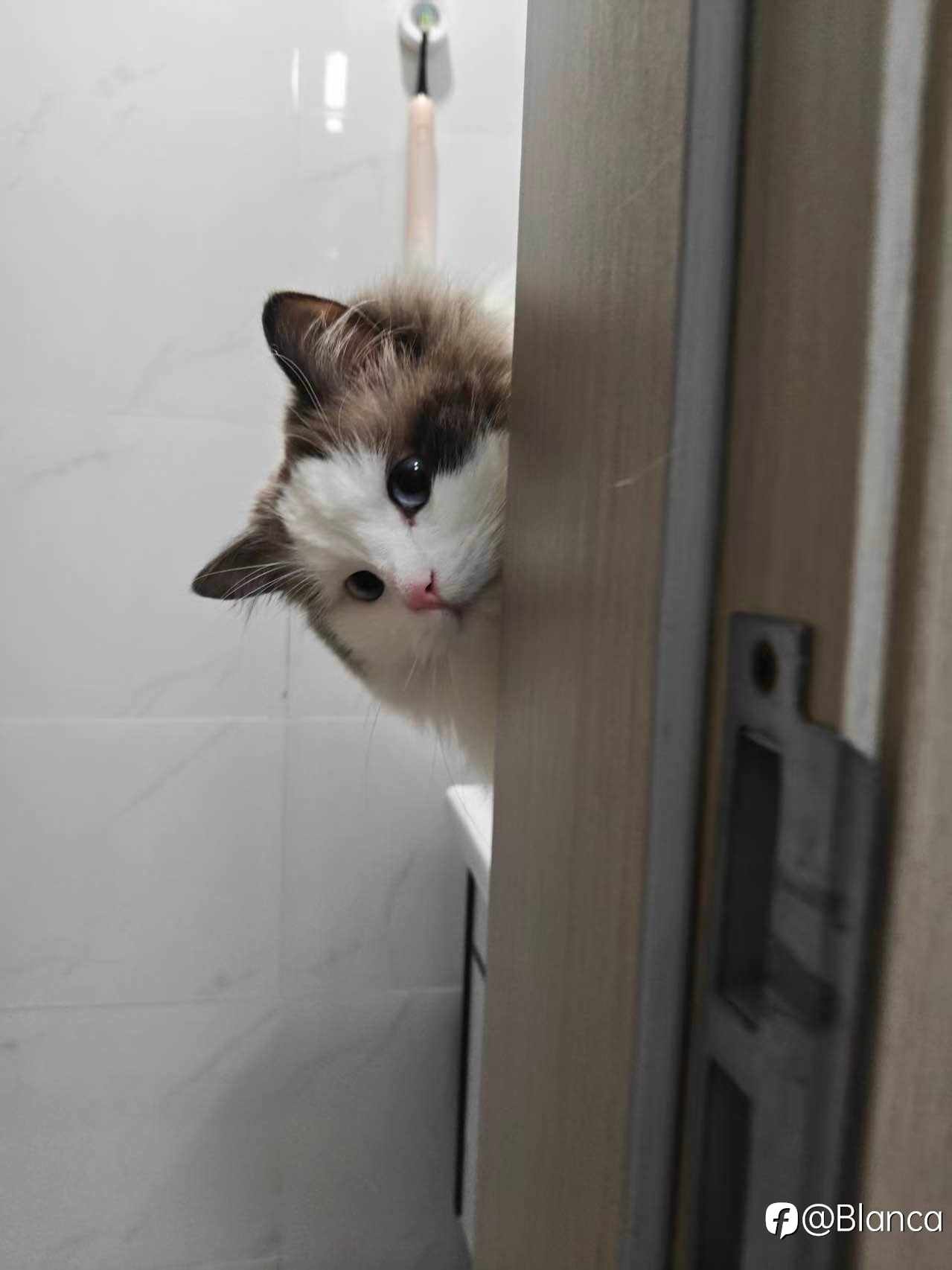 中东一打仗，美国通胀直接炸了