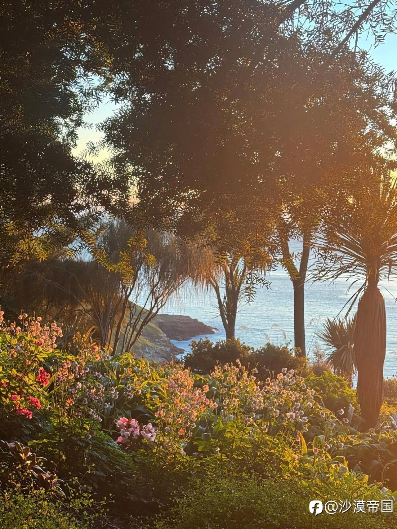 2026.3.16 外汇每日交易策略