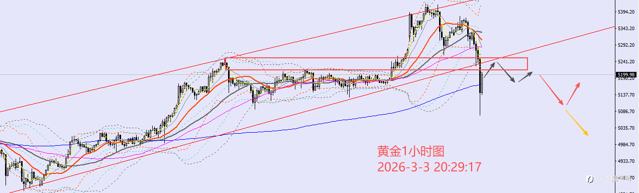 老黑策略:3.3晚盘外汇、黄金、原油分析策略