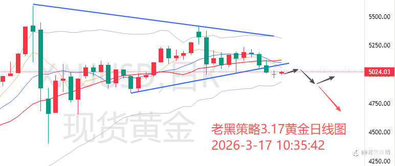 老黑策略：3.17外汇、黄金、原油分析策略