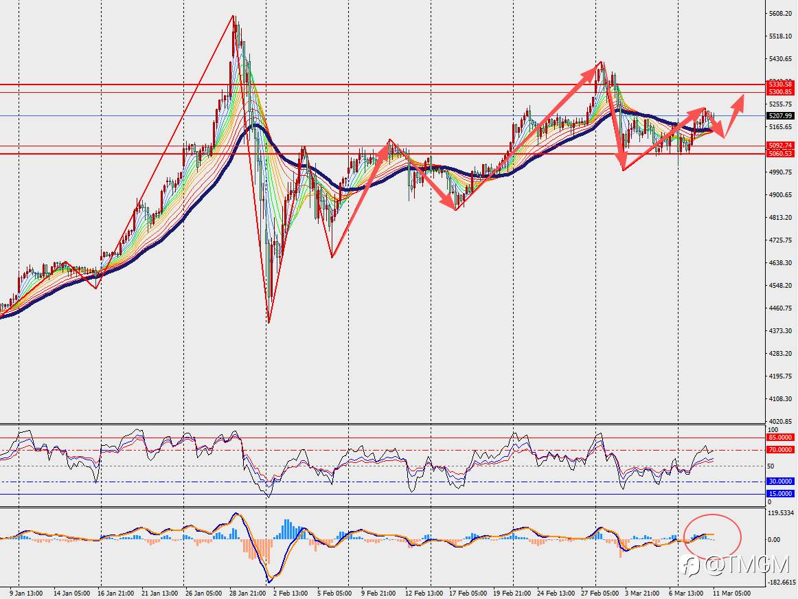 TMGM每日市场3月11日