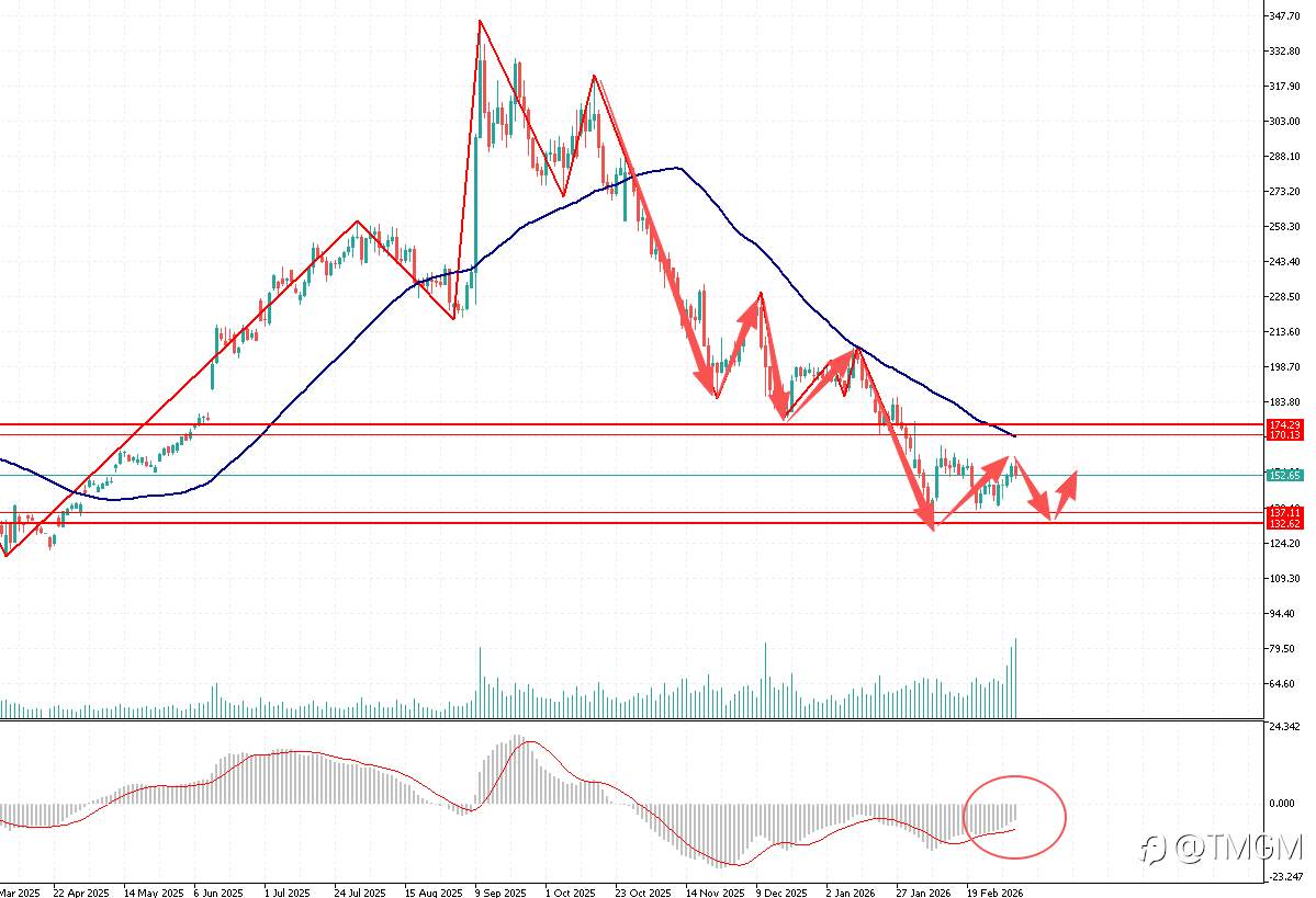 TMGM每日市场3月9日