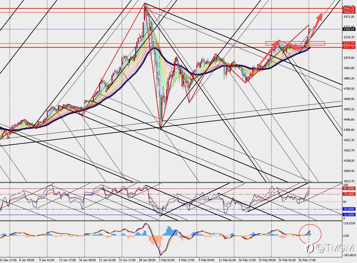 TMGM：美以周末正式打击伊朗，伊朗最高领袖被杀，局势瞬息万变，金价未来还要涨！