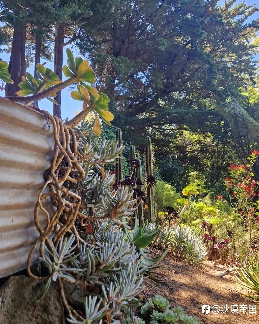 2026.3.18 外汇每日交易策略