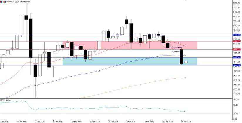 2026年3月19日市场报告