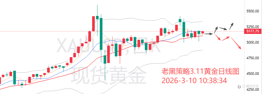 老黑策略:3.10外汇、黄金、原油分析策略