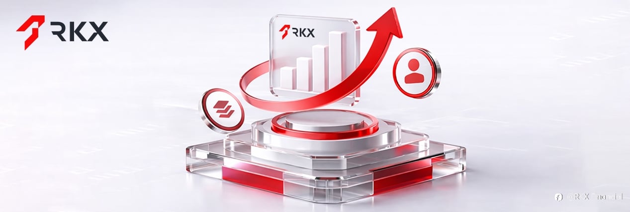 RKX如何为专业客户创造价值