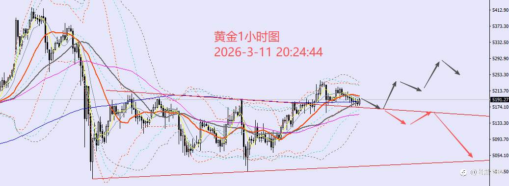 老黑策略：3.11晚盘外汇、黄金、原油分析策略