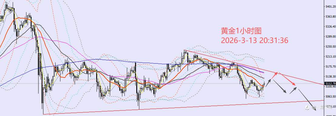 老黑策略：3.13晚盘外汇、黄金、原油分析策略